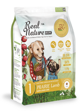 Puppy Dry Dog Food 2kg | Hair & Skin Care Formula | Lamb| Real Nature