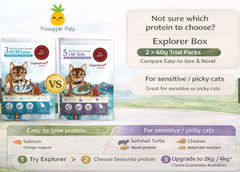 Cat Food Trial Pack | Select your 60g Explorer Box | Try Before 2kg Commitment | RealPower