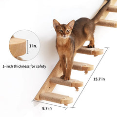 Wall-Mounted Cat Tree & Shelves – Climbing, Scratching & Lounging Set