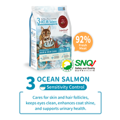 Real Nature Ocean Salmon Cat Dry Food 2kg/4kg | Grain-Free | Skin & Coat