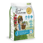 Real Nature Ocean Salmon Dog Food 2kg/4kg | Sensitive Skin & Coat Support | Rich in Omega 3 & 6