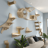 Wall-Mounted Cat Tree & Shelves – Climbing, Scratching & Lounging Set
