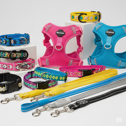 Collars, Harness & Leads