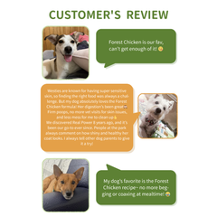 Real Nature Forest Chicken Dry Dog Food 2kg/4kg | Digestive Health Formula | Probiotics & Digestive Enzymes