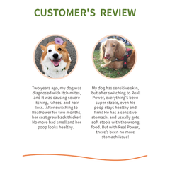 Real Nature River Duck Dry Dog Food 2kg/4kg | Novel Protein Formula | Everyday Support