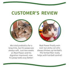 Real Nature Forest Chicken Dry Cat Food 2kg/4kg | Grain-Free | Digestive Health