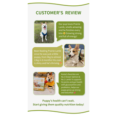 Puppy Dry Dog Food 2kg | Hair & Skin Care Formula | Lamb| Real Nature